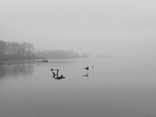Black and White lake fog
