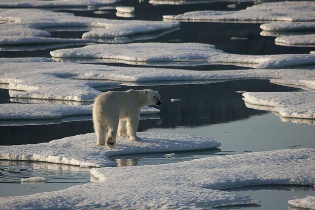 Greenpeace al Polo Nord