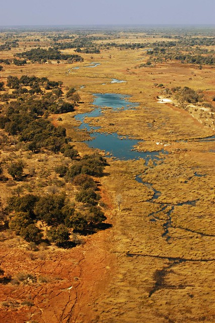 Botswana Okavango Delta D40_6806