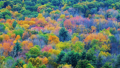 autumn johnjmurphyiii connecticut northwestcorner landscape usa limerock 06039 foliage