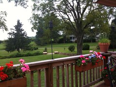 Great shot from the back patio of Grandale Farm restaurant
