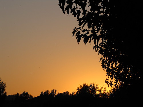 IMG_0674 by misterlevel, Sunset at Rio Lindo Academy, Healdsburg, CA.swift vaux healsburg vasw