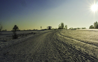 Last winter walk