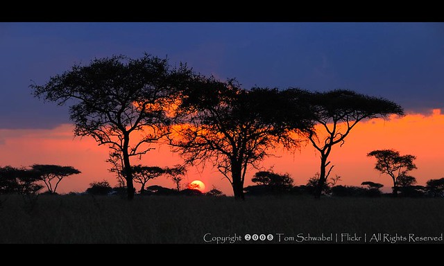 Classic African Sunset