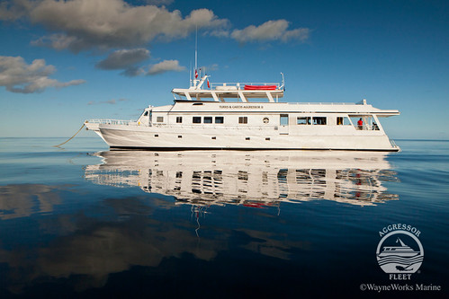 TurksCaicos-Yacht21