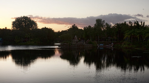 travel bridge trees sunset sky plants plant reflection tree water clouds river boat bush ruins asia unitedstates florida ruin disney wdw waltdisneyworld themepark animalkingdom disneysanimalkingdom discoveryisland thetreeoflife 31kmswoforlando discoveryriver