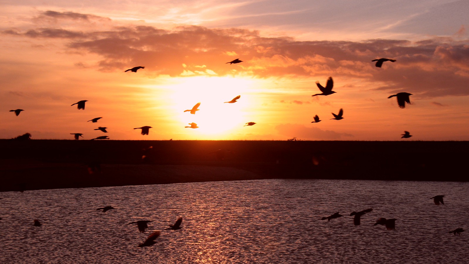 Sunrise/Sunset | Flickr