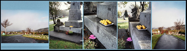 Fruit for the dead at Mount Pleasant Cemetery