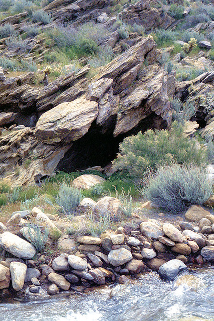 Anza Borrego Desert Creek