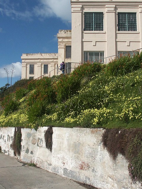 The Flower Gardens of Alcatraz