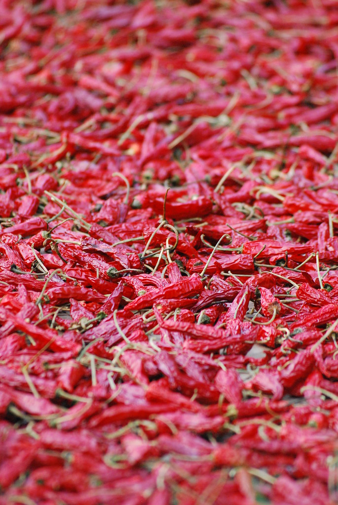 Drying chillies, Ping An, Guangxi