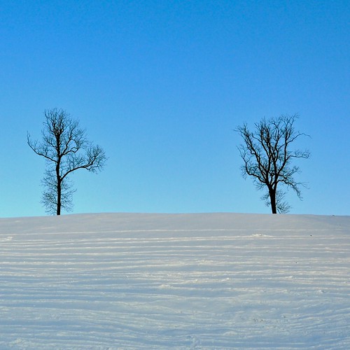 Deux arbres by HagleyParkJon