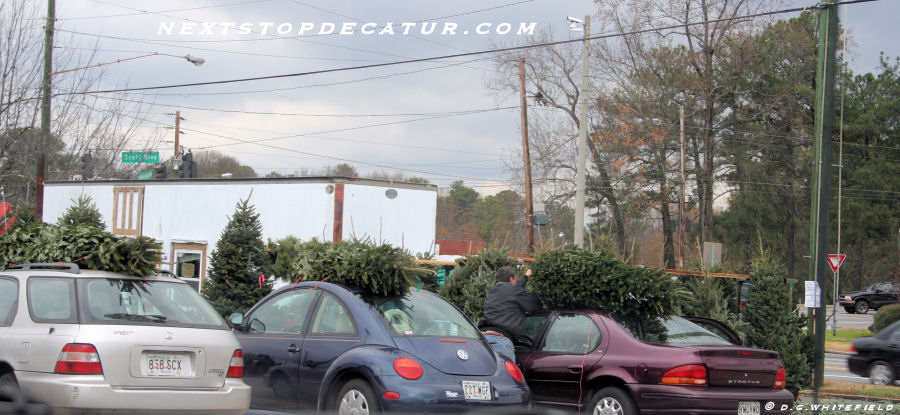 Christmas Tree Shopping @ Suburban Plaza by -WHITEFIELD-