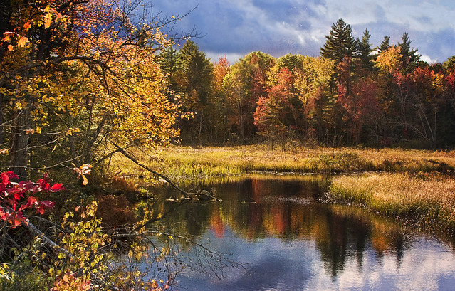 New Hampshire pond textured