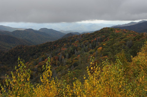 Great Smoky Mountains National Park - cwwycoff1