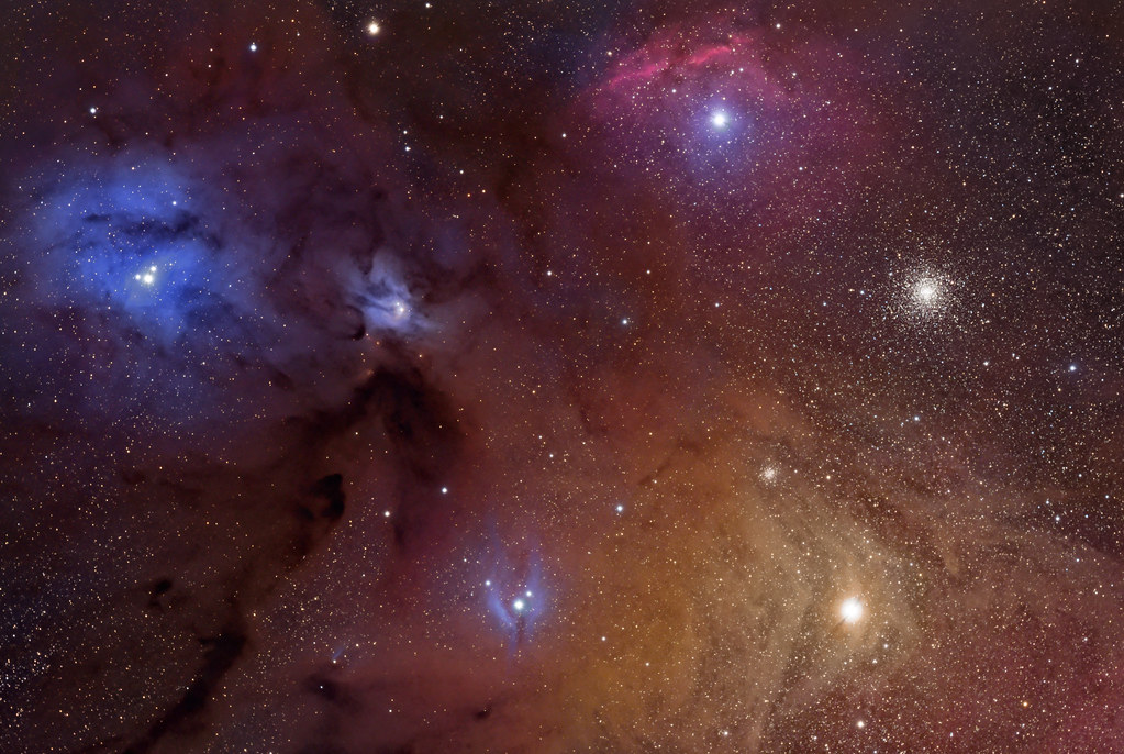 In the clouds of Rho Ophiuchi
