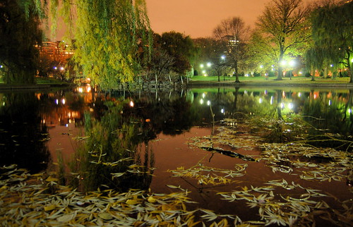 Boston reflected in the Public Garden Lagoon at night | by Chris Devers
