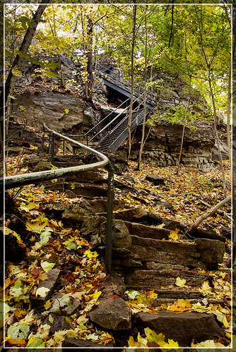 Stairway at Webster's Falls by fadi3