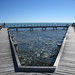 Shark Bay Hamelin Pool Stromatolites Walkway