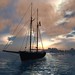 Ernestina anchored in Sunset
