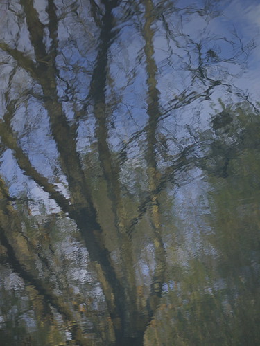 reflection after Monet #1 by slowhand7530