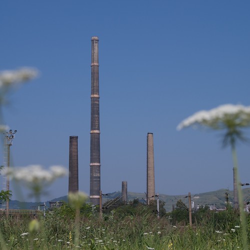 flowers chimney industry nature landscape outdoors landscapes europe day factory technology outdoor romania transylvania copsamica olympuse3 copşamică