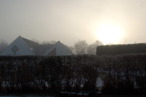 life xmas morning trees mist snow robin fog sunrise swan frost picture
