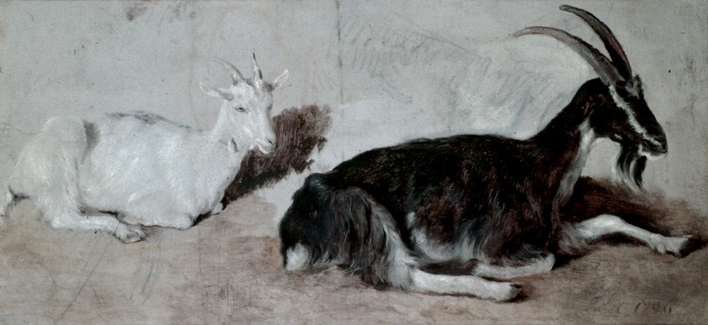 Agasse, Jacques Laurent (1767-1849) - Two Goats (Public Collection)
