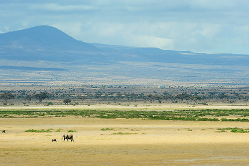 KEN-Amboseli-1408-404-v1