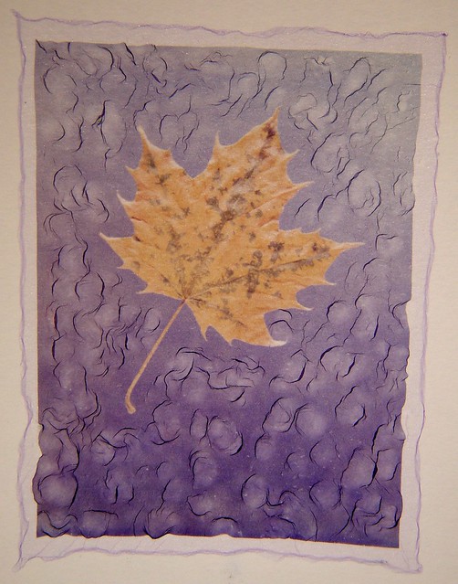 Maple Leaf : Polaroid emulsion lift by John Fobes