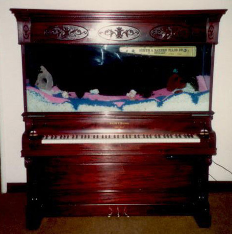 Unique Upright Piano Aquarium