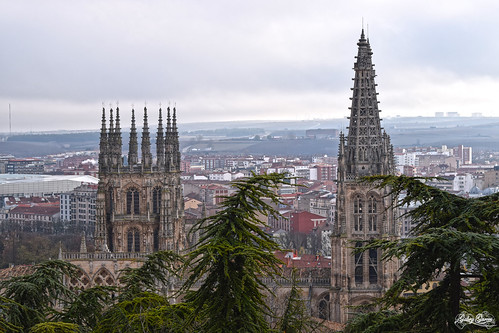 gothic urban panoramic architecture construction burgos spain style landscapes buildings pines horizon fotolia cathedral travel monuments arquitectura medieval religion