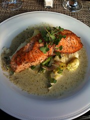 Grilled salmon and mashed potatoes