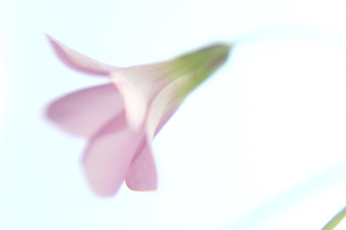 Fading | by Dieversa