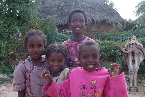 africa eritrea afrique 28days barentu gashbarka 1500000 080709 1500000views hornofafricabarentu 1500000photostreamviews