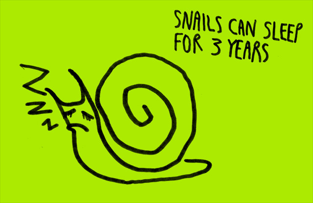 sep2 Snails can sleep for 3 years