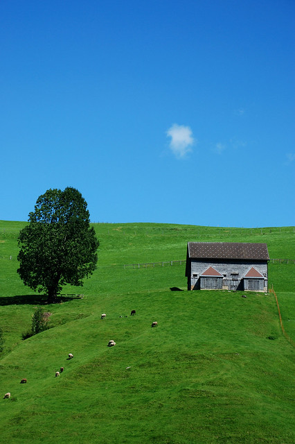 Suiza: verde, ovejas, azul, nube, casa, árbol / Switzerland: green, sheeps, blue, cloud, house, tree.