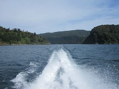 Lake Waikaremoana Great Walk 43 - On the boat back to my van