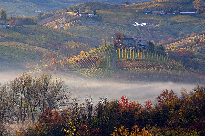 Langhe di primo mattino