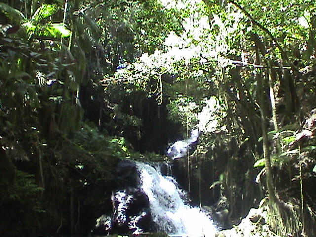 hilo_waterfall1