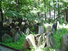 Old Jewish Cemetery (Starý židovský høbitov)