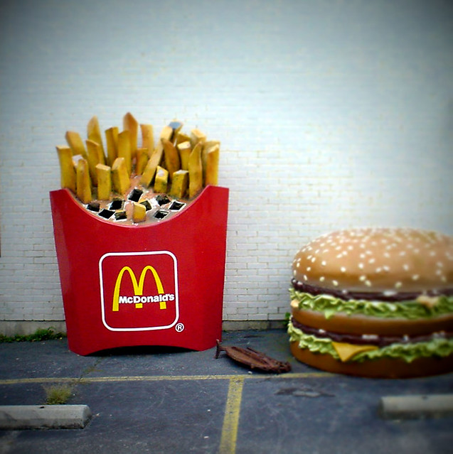 Hamburger & fries