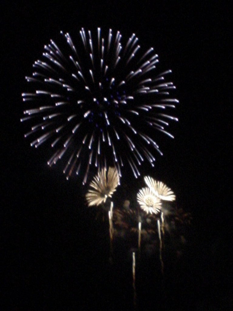 Australia Day Fireworks