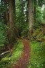 Trail to Dutch Miller Gap