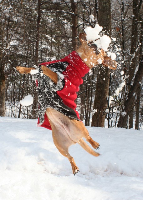 Annie Catches a Snowball