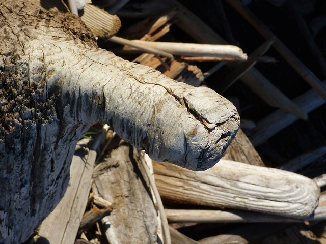 Driftwood Handle