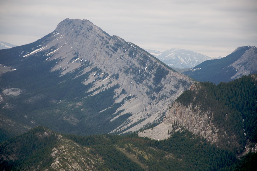 Red Lake Stock