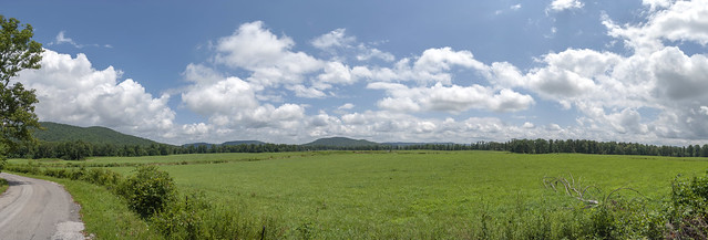 Field, Curtis Norrod Rd, Overton Co, TN
