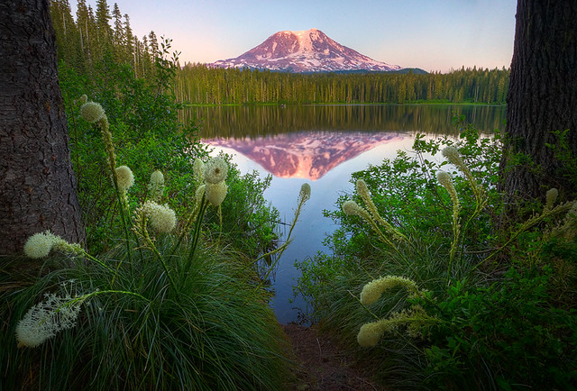 Mount Adams At Sunset From Takhlakh Lake | This was from Tak… | Flickr