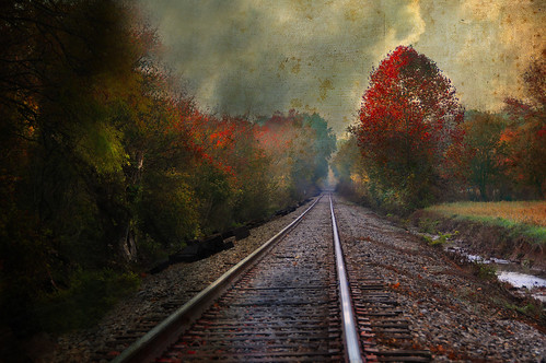 Autumn Tracks by Distressed Textures